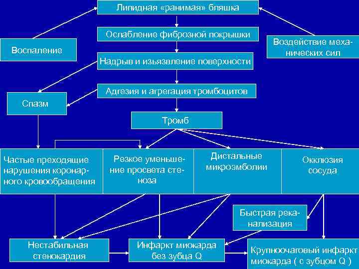 Липидная «ранимая» бляшка Ослабление фиброзной покрышки Воздействие механических сил Воспаление Надрыв и изьязвление поверхности