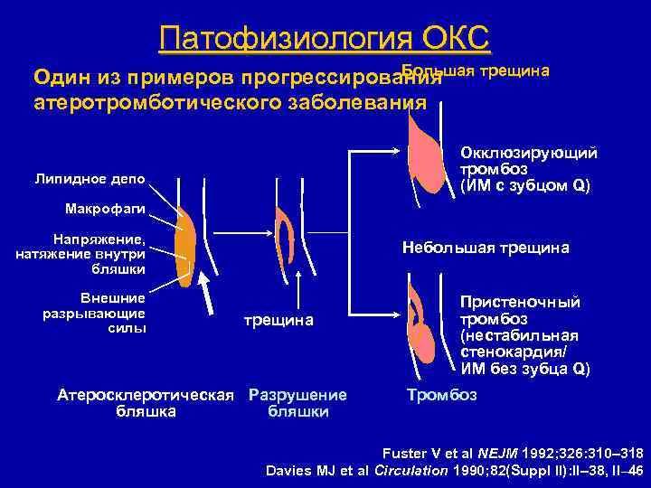 Введение окс