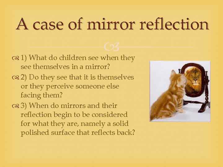 A case of mirror reflection 1) What do children see when they see themselves