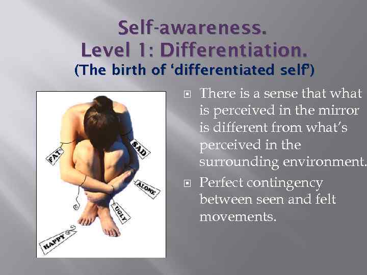 Self-awareness. Level 1: Differentiation. (The birth of ‘differentiated self’) There is a sense that