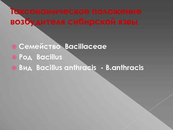 Таксономическое положение возбудителя сибирской язвы Семейство Bacillaceae Род Bacillus Вид Bacillus anthracis - B.