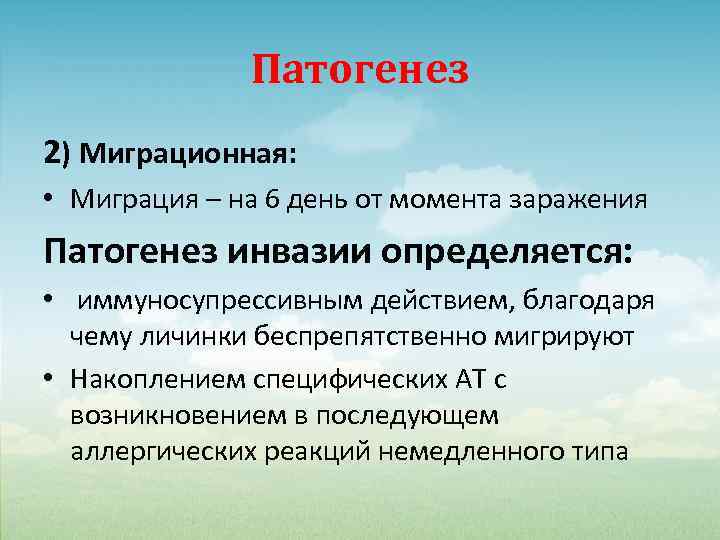 Патогенез 2) Миграционная: • Миграция – на 6 день от момента заражения Патогенез инвазии