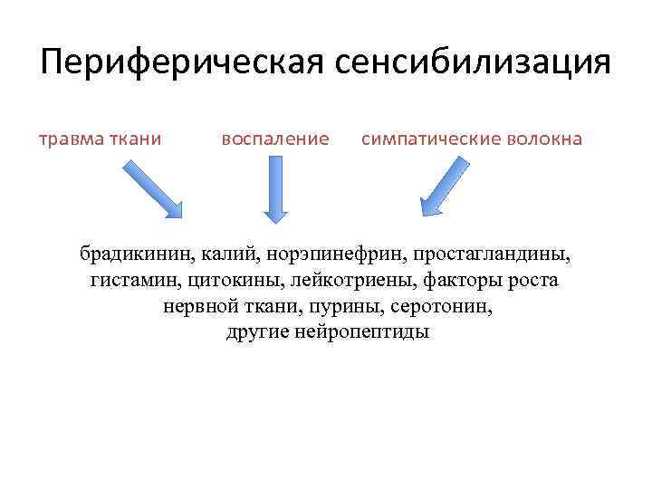 Периферическая сенсибилизация травма ткани воспаление симпатические волокна брадикинин, калий, норэпинефрин, простагландины, гистамин, цитокины, лейкотриены,