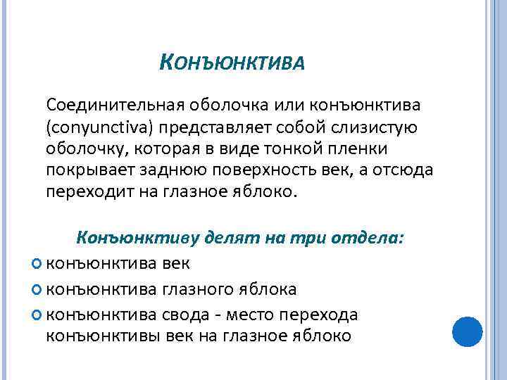 КОНЪЮНКТИВА Соединительная оболочка или конъюнктива (conyunctiva) пpедставляет собой слизистую оболочку, котоpая в виде тонкой