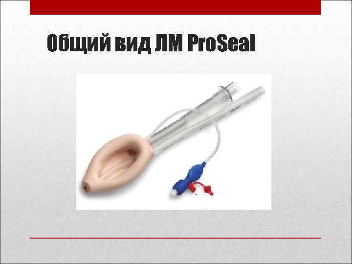 Общий вид ЛМ Pro. Seal 