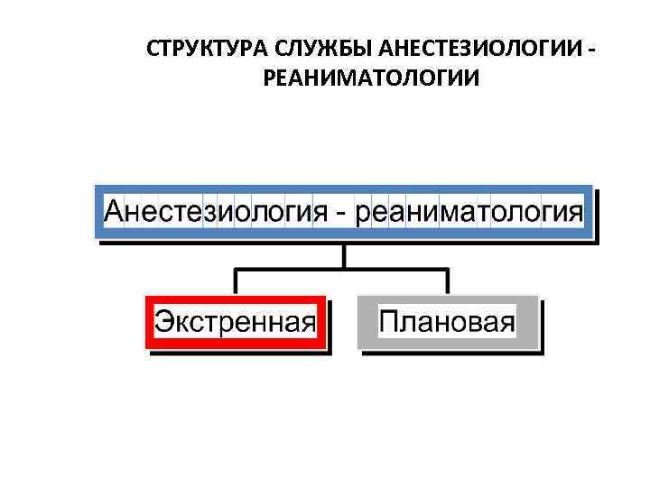 СТРУКТУРА СЛУЖБЫ АНЕСТЕЗИОЛОГИИ РЕАНИМАТОЛОГИИ 