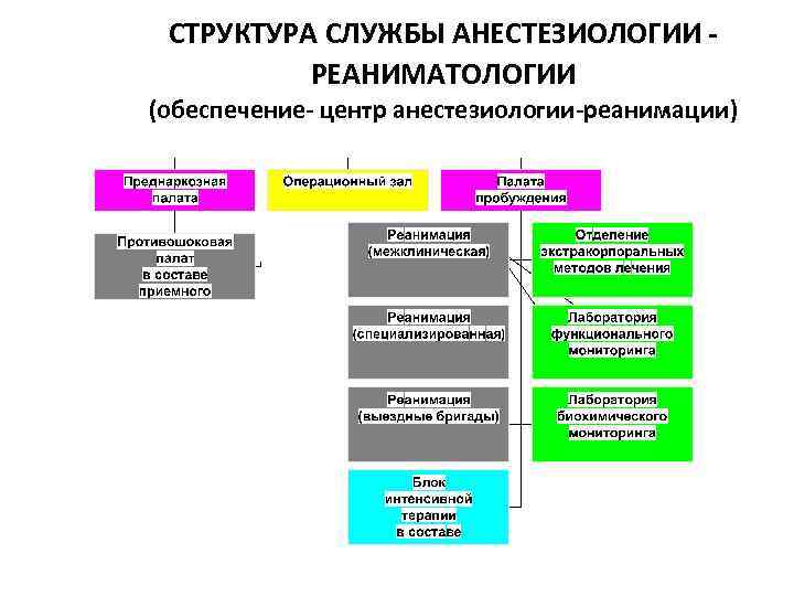 СТРУКТУРА СЛУЖБЫ АНЕСТЕЗИОЛОГИИ РЕАНИМАТОЛОГИИ (обеспечение- центр анестезиологии-реанимации) 