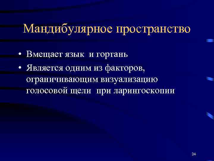 Мандибулярное пространство • Вмещает язык и гортань • Является одним из факторов, ограничивающим визуализацию