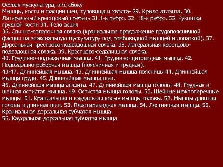 Осевая мускулатура, вид сбоку Мышцы, кости и фасции шеи, туловища и хвоста- 29. Крыло