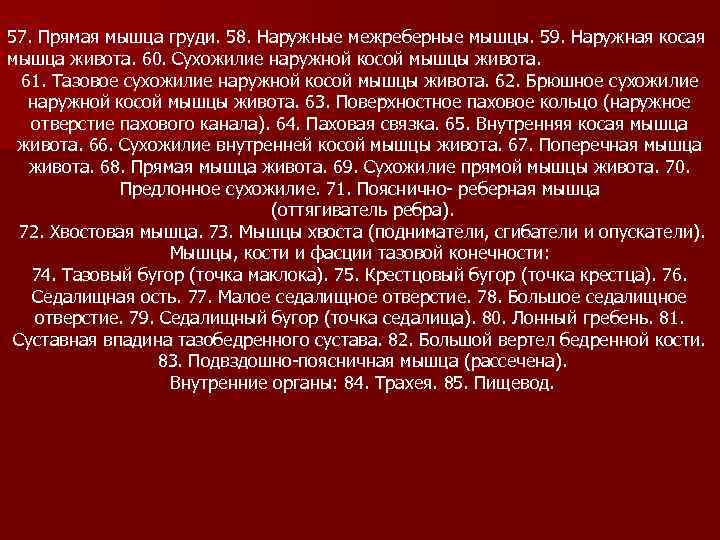 57. Прямая мышца груди. 58. Наружные межреберные мышцы. 59. Наружная косая мышца живота. 60.