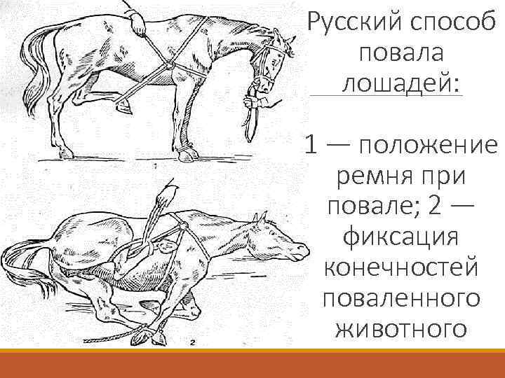 Российский способ