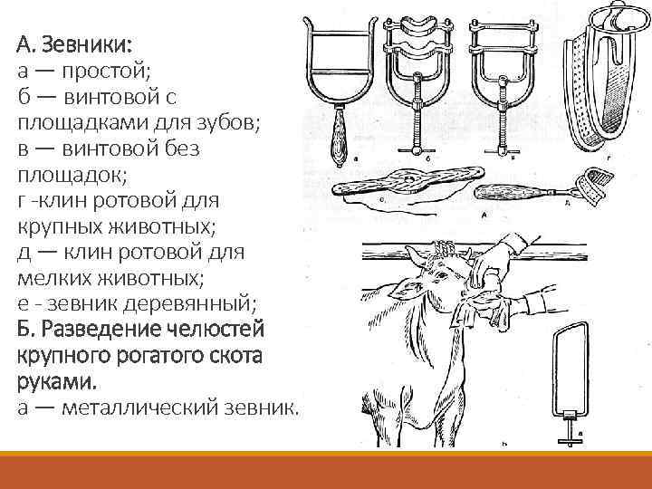 А. Зевники: а — простой; б — винтовой с площадками для зубов; в —