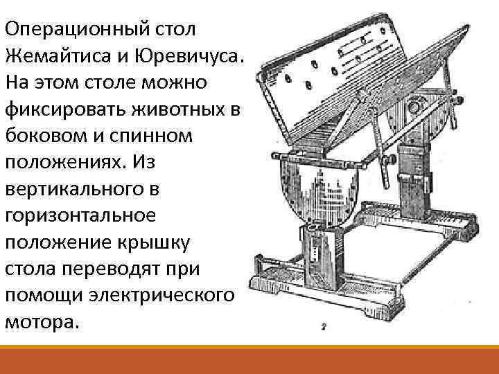 Столы для фиксации с х животных и указать для каких животных используются