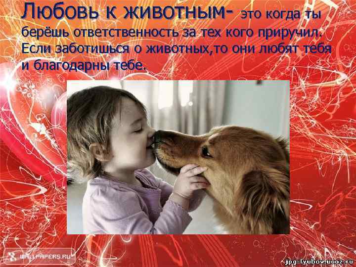 Любовь к животным- это когда ты берёшь ответственность за тех кого приручил. Если заботишься