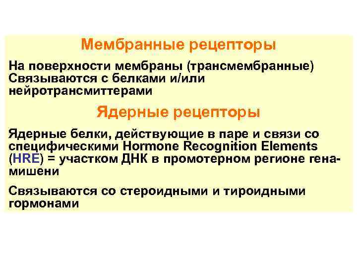 Мембранные рецепторы На поверхности мембраны (трансмембранные) Связываются с белками и/или What are the main