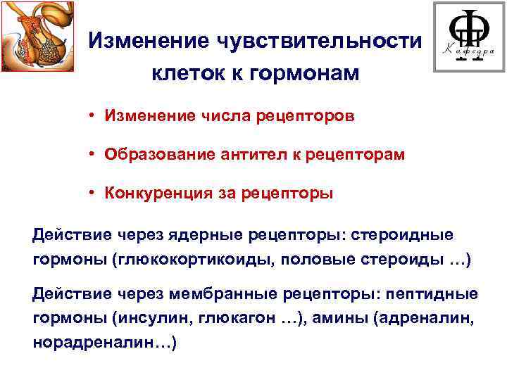 Изменение чувствительности клеток к гормонам • Изменение числа рецепторов • Образование антител к рецепторам