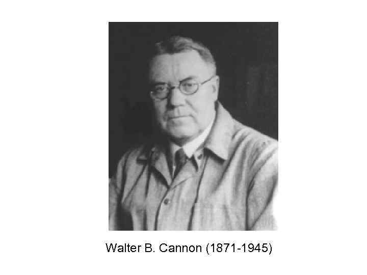 Walter B. Cannon (1871 -1945) 