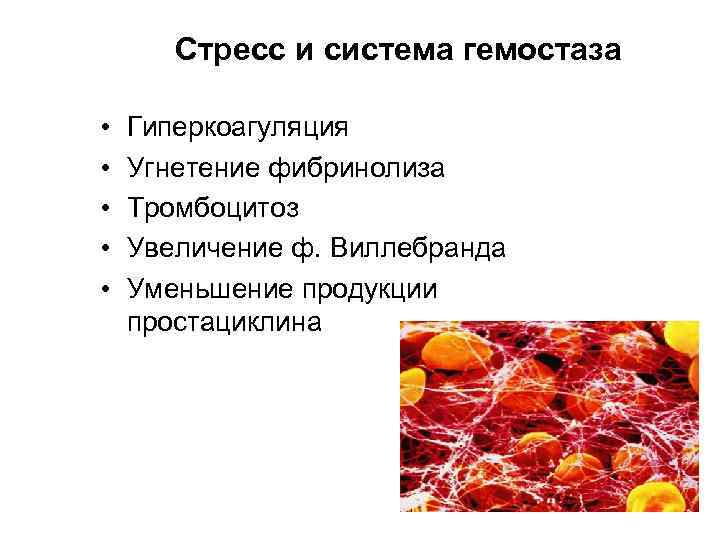 Стресс и система гемостаза • • • Гиперкоагуляция Угнетение фибринолиза Тромбоцитоз Увеличение ф. Виллебранда