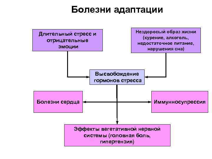 Болезни адаптации Длительный стресс и отрицательные эмоции Нездоровый образ жизни (курение, алкоголь, недостаточное питание,