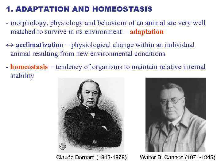 1. ADAPTATION AND HOMEOSTASIS - morphology, physiology and behaviour of an animal are very