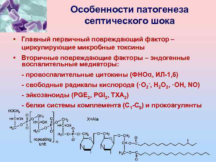 Особенности патогенеза септического шока • Главный первичный повреждающий фактор – циркулирующие микробные токсины •