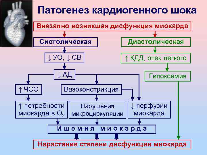 Патогенез шока схема