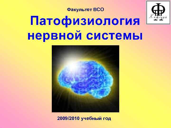 Факультет ВСО 2009/2010 учебный год 