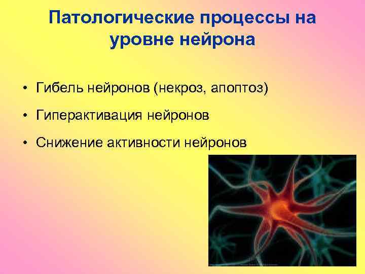 Патологические процессы на уровне нейрона • Гибель нейронов (некроз, апоптоз) • Гиперактивация нейронов •