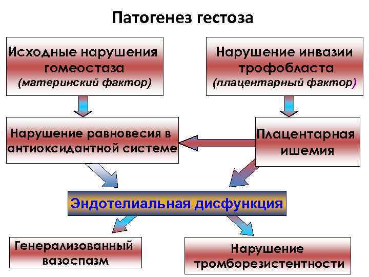 Патогенез гестоза Исходные нарушения гомеостаза Нарушение инвазии трофобласта (материнский фактор) (плацентарный фактор) Нарушение равновесия