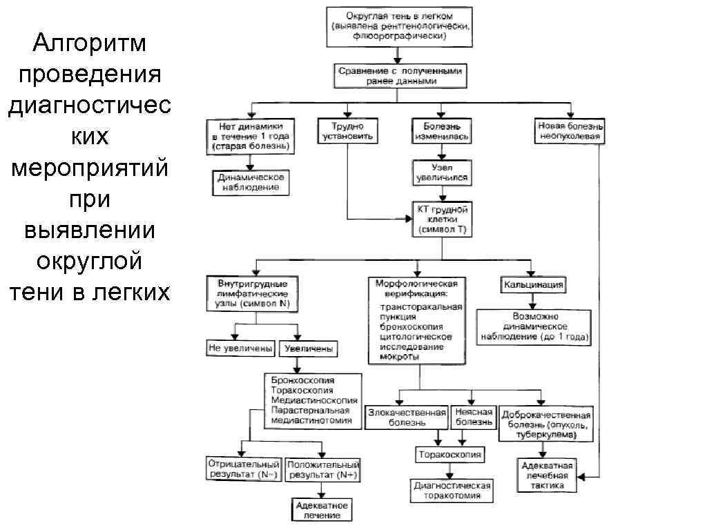 Схема диагностических мероприятий при наличии опухоли в легком