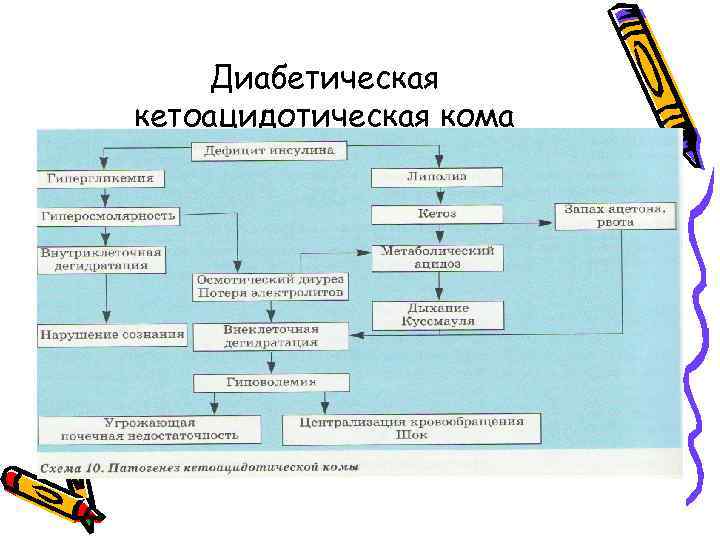 Схема развития диабетических ком