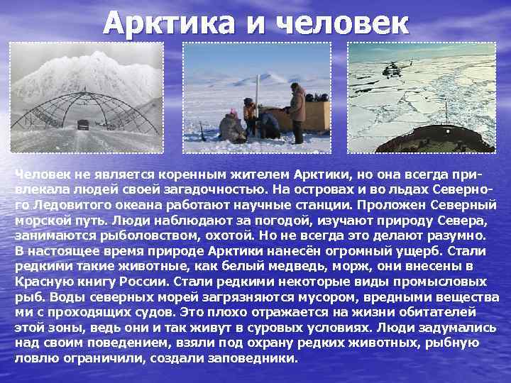 Арктика и человек Человек не является коренным жителем Арктики, но она всегда привлекала людей