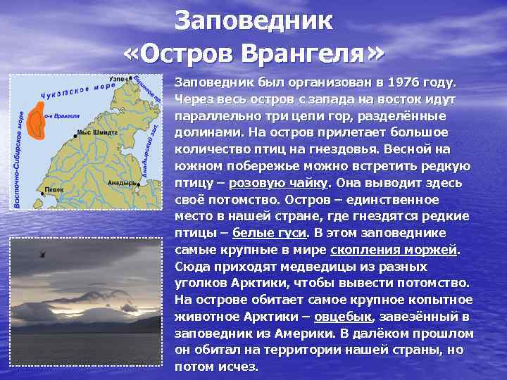 Заповедник «Остров Врангеля» Заповедник был организован в 1976 году. Через весь остров с запада