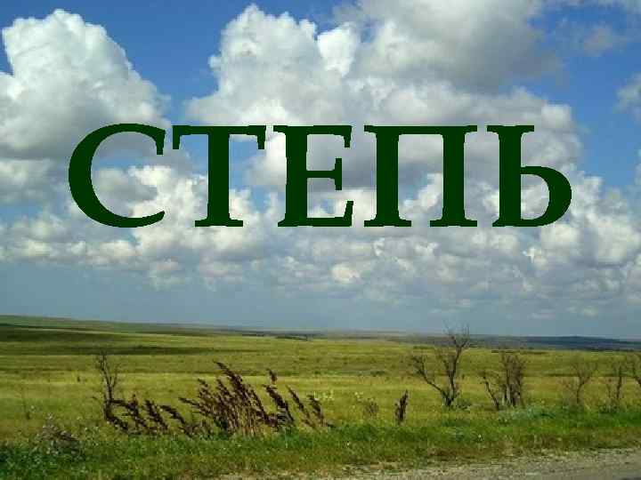 СТЕПЬ 