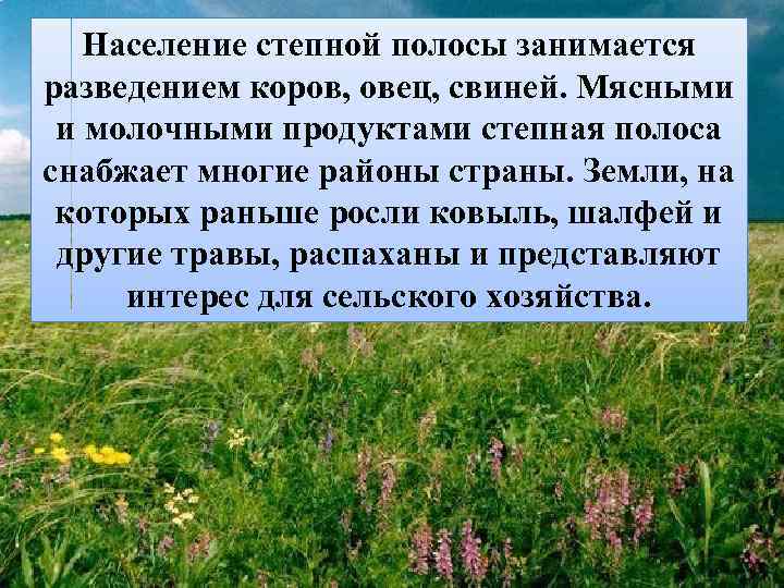 Население степной полосы занимается разведением коров, овец, свиней. Мясными и молочными продуктами степная полоса