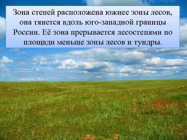 Зона степей расположена южнее зоны лесов, она тянется вдоль юго-западной границы России. Её зона