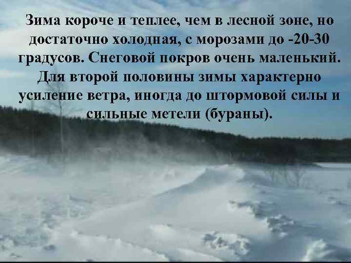 Зима короче и теплее, чем в лесной зоне, но достаточно холодная, с морозами до