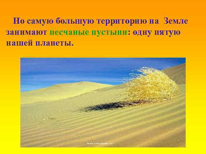 Но самую большую территорию на Земле занимают песчаные пустыни: одну пятую нашей планеты. 