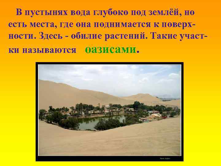 В пустынях вода глубоко под землёй, но есть места, где она поднимается к поверхности.
