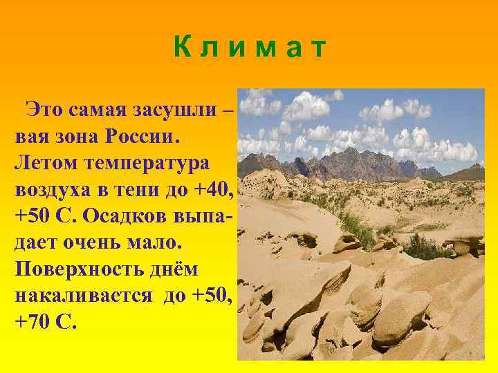 Климат Это самая засушли – вая зона России. Летом температура воздуха в тени до
