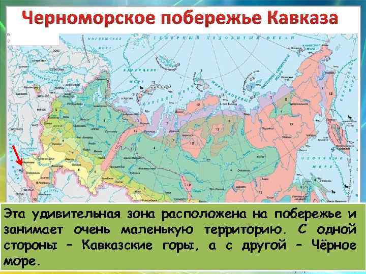 Карта стран черноморского бассейна