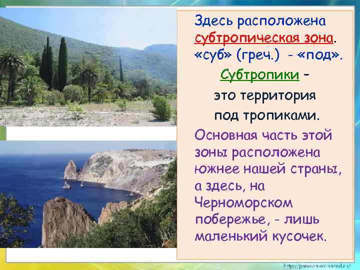 Кавказ расположен в природных зонах. Субтропики Черноморского побережья Кавказа.