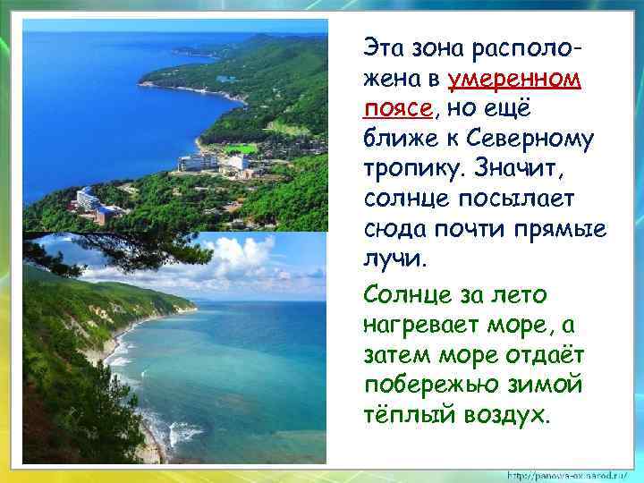 Эта зона расположена в умеренном поясе, но ещё ближе к Северному тропику. Значит, солнце