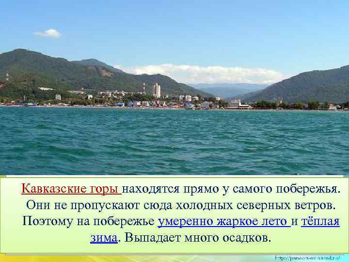 Кавказские горы находятся прямо у самого побережья. Они не пропускают сюда холодных северных ветров.