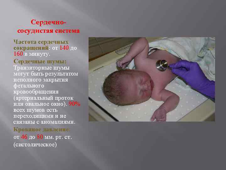 Сердечнососудистая система Частота сердечных сокращений: от 140 до 160 в минуту. Сердечные шумы: Транзиторные