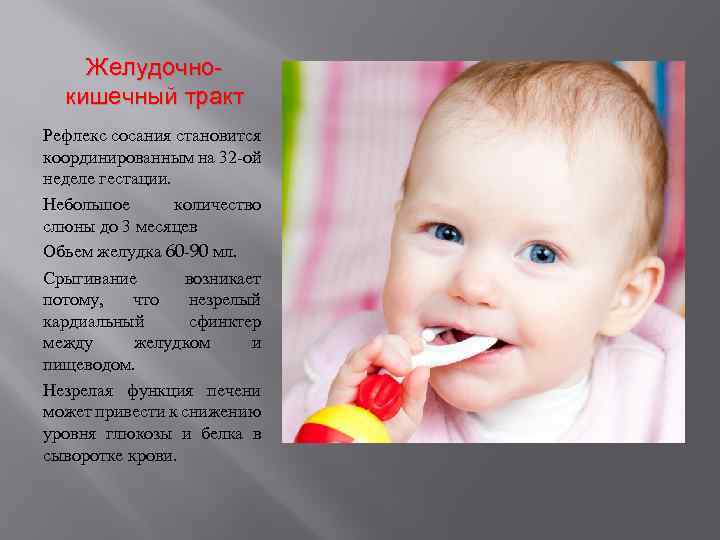 Желудочнокишечный тракт Рефлекс сосания становится координированным на 32 -ой неделе гестации. Небольшое количество слюны