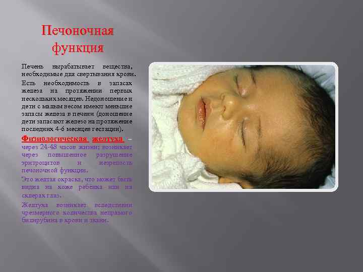 Печоночная функция Печень вырабатывает вещества, необходимые для свертывания крови. Есть необходимость в запасах железа