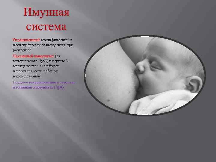 Имунная система Ограниченный специфический и неспецифический иммунитет при рождении Пассивный иммунитет (от материнского Ig.