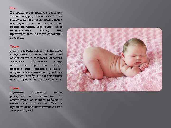 Нос. Во время родов немного достается также и вздернутому носику многих младенцев. Он иногда