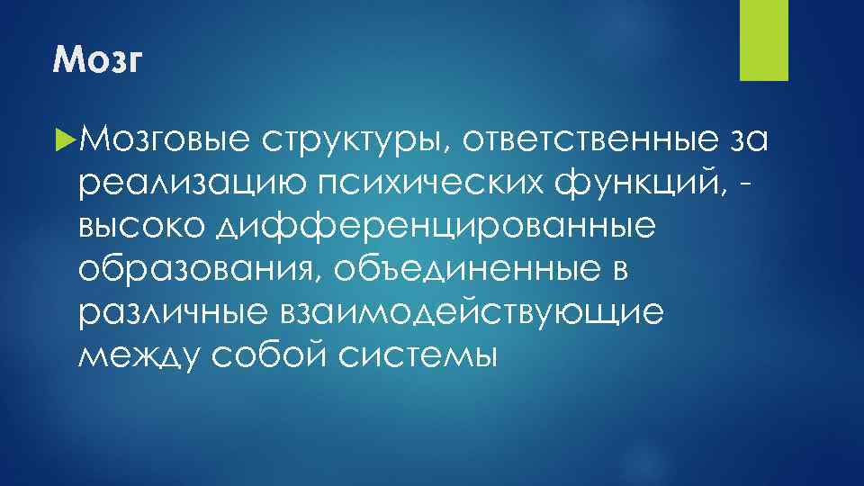 Мозговые структуры, ответственные за реализацию психических функций, высоко дифференцированные образования, объединенные в различные взаимодействующие